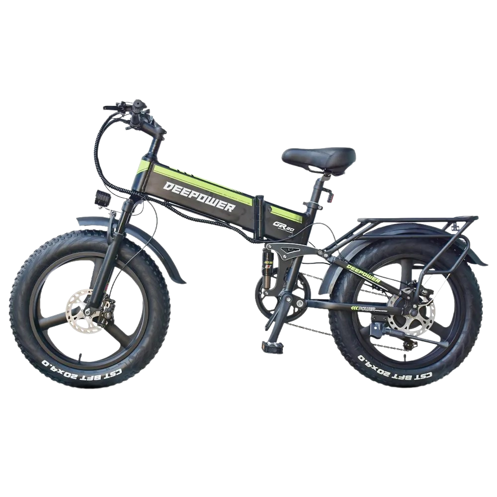 Bici Elettrica Pieghevole Motore 1000W Batteria Display LCD Impermeabi – LA  MAISON SMARTECH