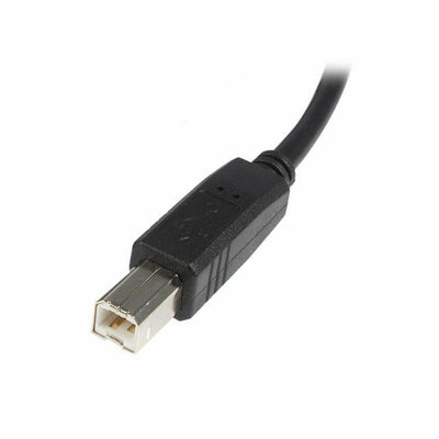 USB A to USB B Cable Startech USB2HAB2M            Black