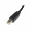 USB A to USB B Cable Startech USB2HAB3M            Black