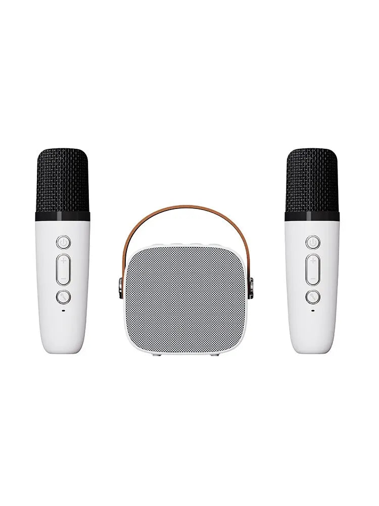 Altoparlante Bluetooth Portatile Microfono Wireless Karaoke Cassa Musica  Audio Canzoni Suono Subwoofer Batteria
