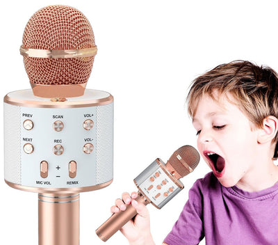 Microfono Wireless Bluetooth Karaoke Canzoni Registrazioni Altoparlante Radio FM Suono HD