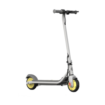 Electric Scooter Segway ZING C8 Grey Silver 120 W