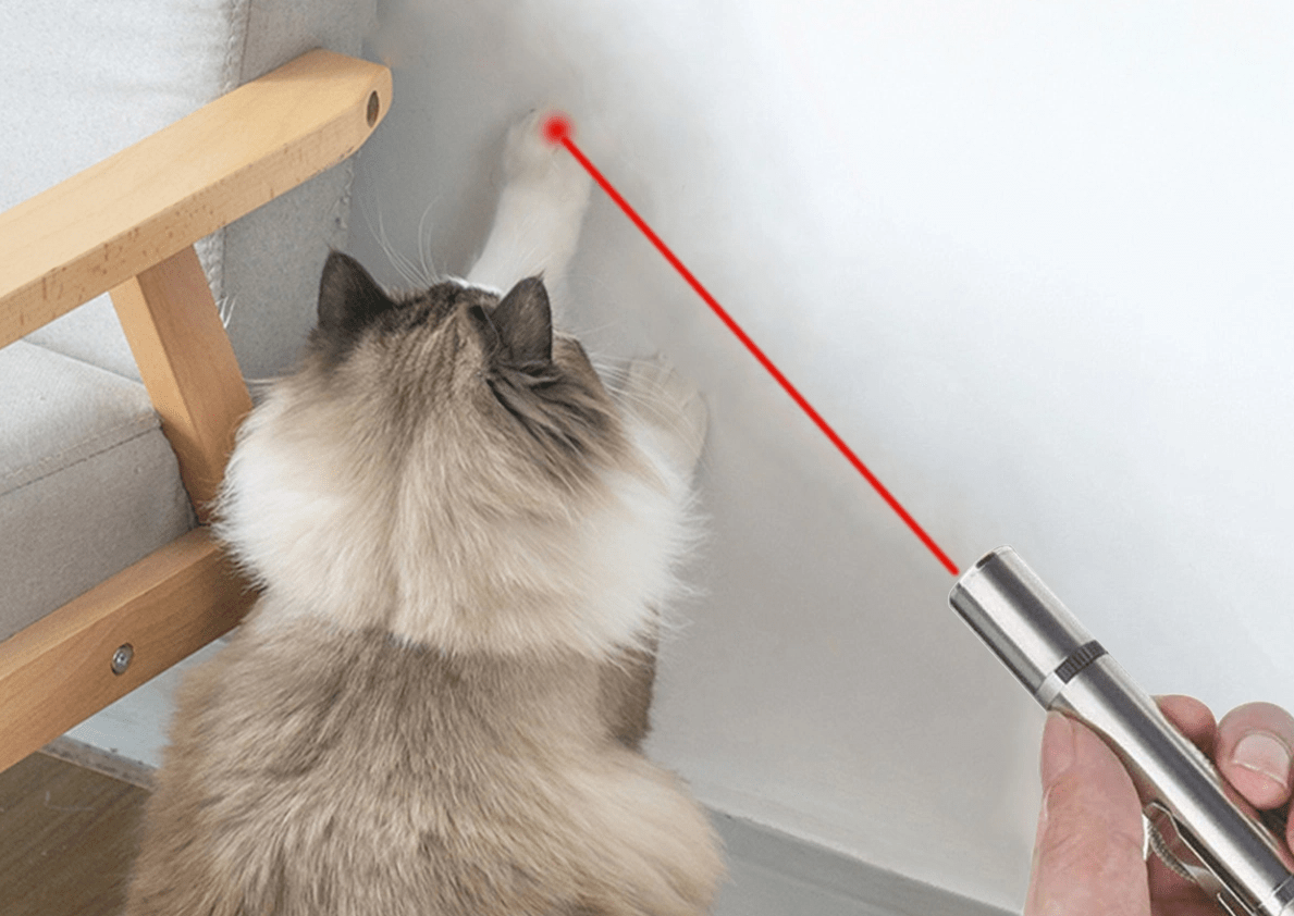 Il puntatore laser per cani e gatti