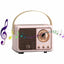 Altoparlante Mini Retrò Bluetooth Radio Potenza Audio Musica Design Riproduzione Suono
